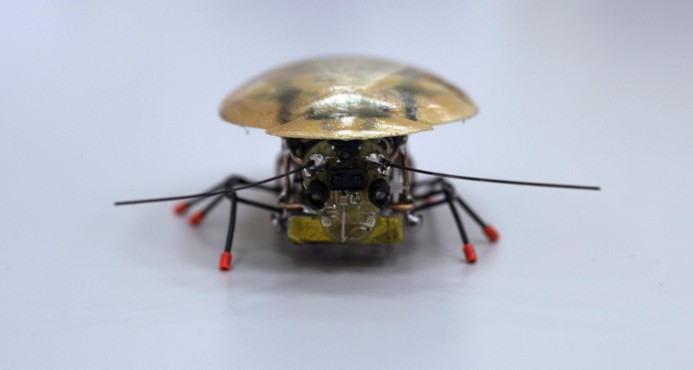 cucaracha robot