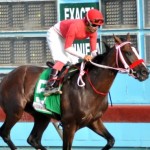 image_content_5625062_20151010080139