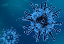 Infección Contagiosa, Aislamiento, Cuarentena y Pandemia