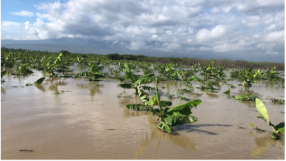 Captura de pantalla 2025-10-30 092602