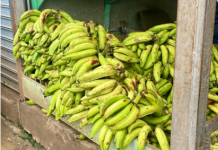 Inflación interanual se situó en 4.81% a noviembre