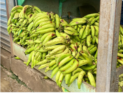 Captura de pantalla 2025-12-10 130729