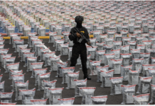 La DNCD ha incautado más de 31 toneladas de drogas en lo que va de 2025