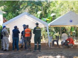 Continúa búsqueda de Brianna Genao, a 15 días de su desaparición