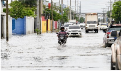 Captura de pantalla 2026-01-22 085529