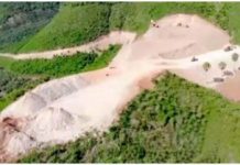 Condenan a empresa agrícola al pago de RD$60 millones por deforestación en Loma Redonda en Ocoa