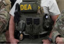 Promotor artístico dominicano fue quien reveló que Melitón Cordero podía conseguir visa en 2 semanas