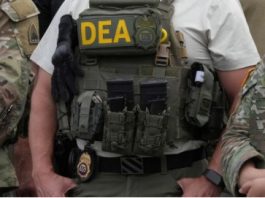 Promotor artístico dominicano fue quien reveló que Melitón Cordero podía conseguir visa en 2 semanas