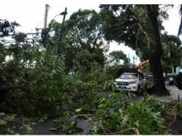 “Parece que pasó un tornado”: Las secuelas de lluvias y ráfagas de viento en Gascue