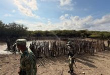 Medio Ambiente hace descenso en Las Dunas de Baní