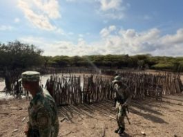 Medio Ambiente hace descenso en Las Dunas de Baní