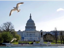 Cámara de Representantes de Estados Unidos avalan proyecto que apoya a los haitianos