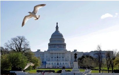 Cámara de Representantes de Estados Unidos avalan proyecto que apoya a los haitianos