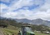 Agricultores de Constanza denuncian crisis en producción agrícola
