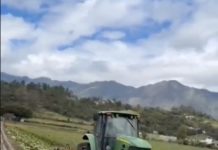 Agricultores de Constanza denuncian crisis en producción agrícola