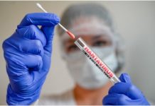 OMS señala que el hantavirus presenta mayor nivel de contagio en las primeras etapas de la enfermedad