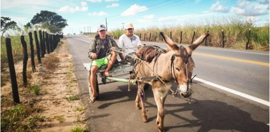 El gobierno Dominicano preparó la poblacion para transportarse en Burros