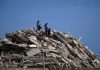 El Gobierno de Venezuela eleva a 235 los muertos y a 4,300 los heridos por terremotos