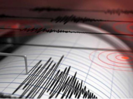 Fuerte sismo de magnitud 7,1 sacude el suroeste de Japón: reportan heridos, colapsos y cortes eléctricos
