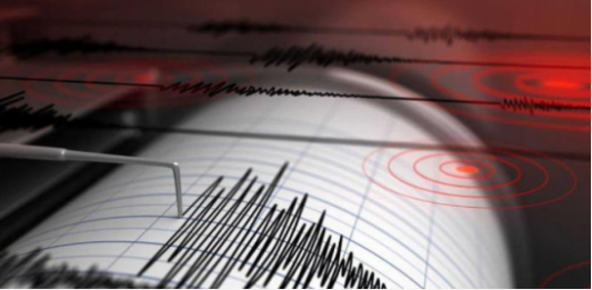 Fuerte sismo de magnitud 7,1 sacude el suroeste de Japón: reportan heridos, colapsos y cortes eléctricos