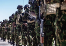 DESPLIEGAN 1,300 SOLDADOS DE EL SALVADOR EN HAITÍ EN OPERACIONES CONTRA LAS PANDILLAS